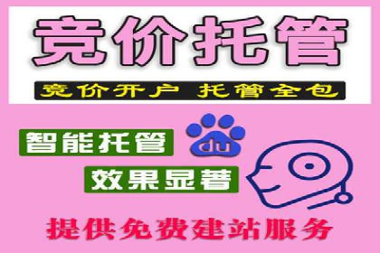 百度推广实战经验分享：案例精选
